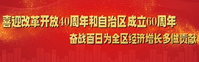 喜迎改革开放40周年和自治区成立60周年      奋战百日为全区稳增长多做贡献